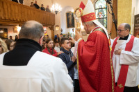 202211151429__amelia_img_220_200_647.jpg