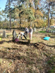202211101515__amelia_img_220_193_1091.jpg