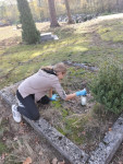 202211101517__amelia_img_220_193_5169.jpg