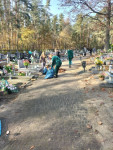 202211101518__amelia_img_220_193_3455.jpg