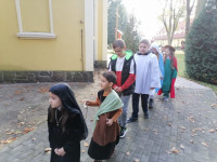202211101442__amelia_img_220_192_6701.jpg