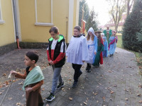 202211101442__amelia_img_220_192_8828.jpg