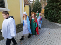202211101443__amelia_img_220_192_9843.jpg