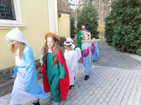 202211101443__amelia_img_220_192_7152.jpg