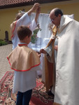 202206161721__amelia_img_220_188_1876.jpg