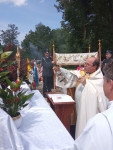 202206161721__amelia_img_220_188_8048.jpg