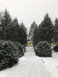 201901261104_51019878_2158666884200340_406710321776951296_n.jpg