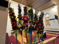 Niedziela Palmowa 2025