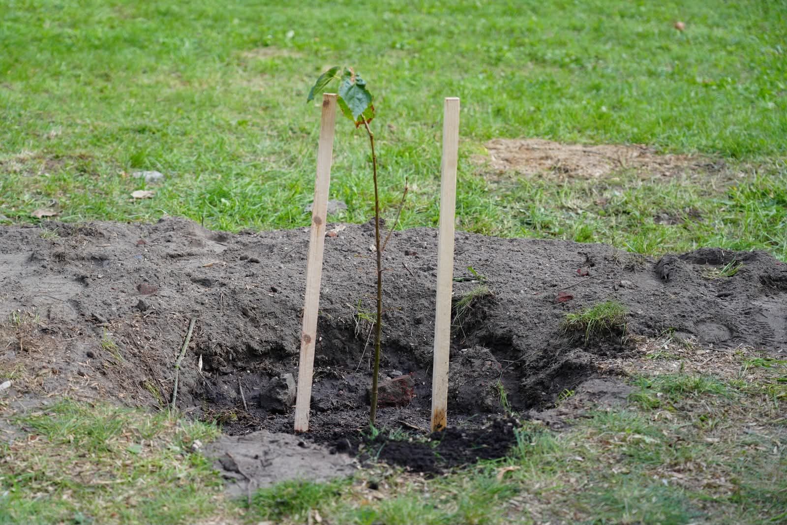 Piknik Ekologiczny 2026
